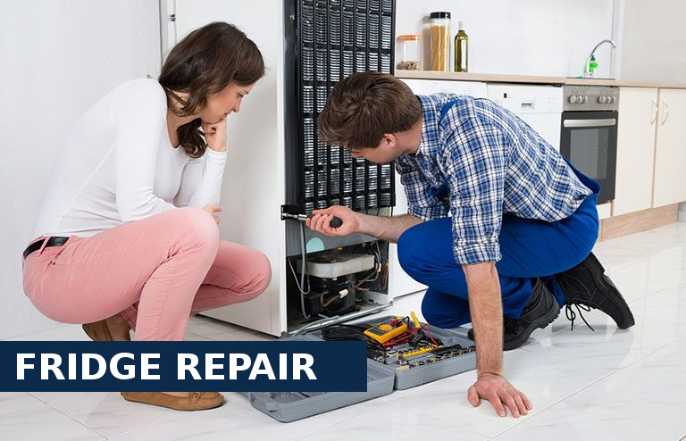 Fridge Repair Greenhithe